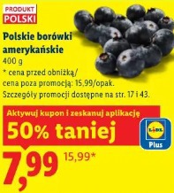Polskie borówki amerykańskie