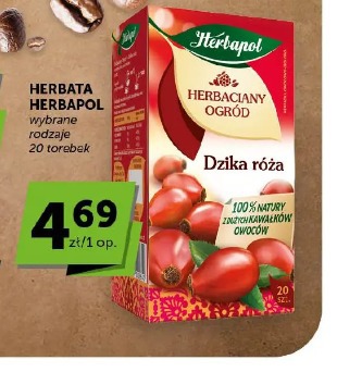 Herbapol Herbaciany Ogród dzika róża herbata