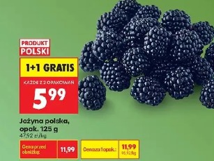 Jeżyna polska, opak.
