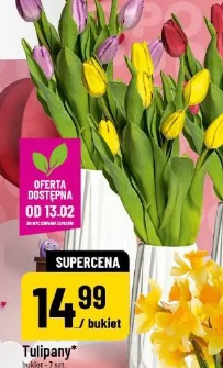 Tulipany