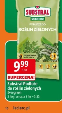 Substral Podłoże do roślin zielonych Evergreen