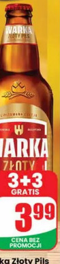 Piwo Warka Złoty Pils