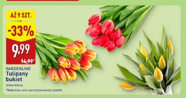 Tulipany bukiet