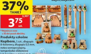 Produkty szkolne Kapibara