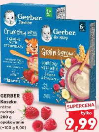 Gerber Kaszka