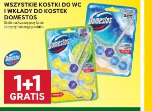 Wszystkie kostki do WC i wkłady do kostek Domestos