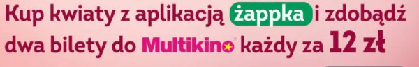 Bilet Multikino