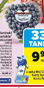 Borówki amerykańskie Serce Sanlucar