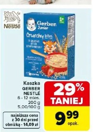 Kaszka Gerber Nestle