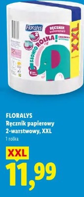 Florays Ręcznik papierowy 2-warstwowy, XXL
