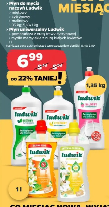 Płyn do mycia naczyń Ludwik miętowy/cytrynowy/malinowy