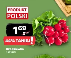 Rzodkiewka