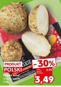 Polski seler korzeń