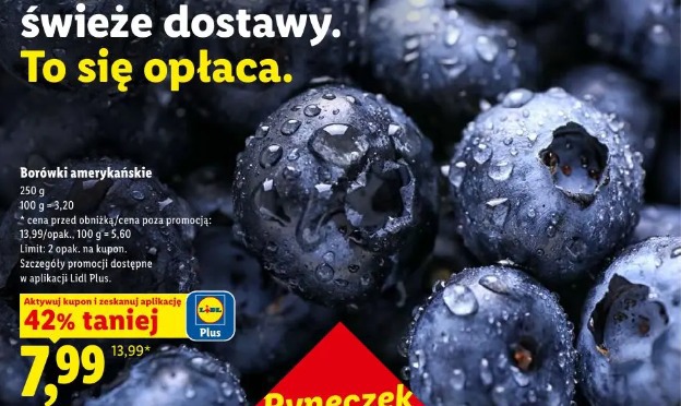 Borówki amerykańskie