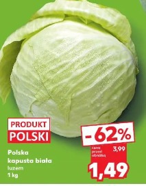 Polska kapusta biała