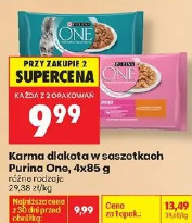 Karma dla kota w saszetkach Purina One