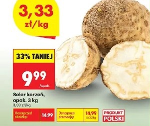 Seler korzeń