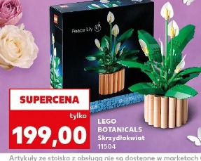 Lego Botanicals Skrzydłokwiat 11504