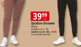 Spodnie dresowe Moraj