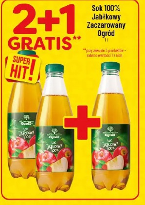 Sok 100% Jabłkowy Zaczarowany Ogród