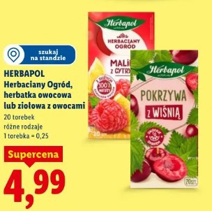 Herbapol Herbaciany Ogród, herbatka owocowa lub ziołowa z owocami