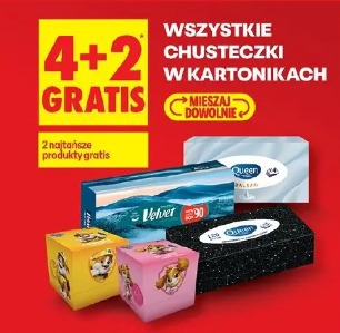 Wszystkie chusteczki w kartonikach