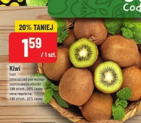 Kiwi
