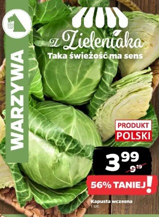 Kapusta wczesna
