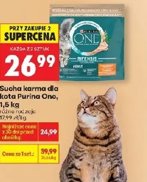 Sucha karma dla kota Purina One