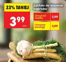Zestaw do kiszenia ogórków