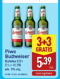 Piwo Budweiser