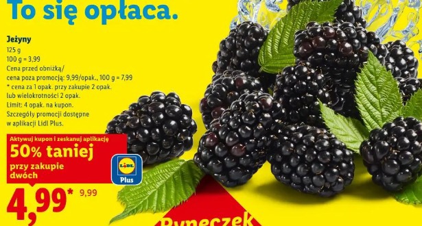 Jeżyny