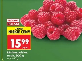 Malina polska