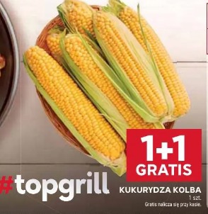 Kukurydza kolba 1+1 gratis