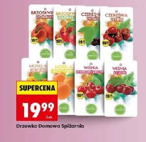 Drzewko Domowa Spiżarnia