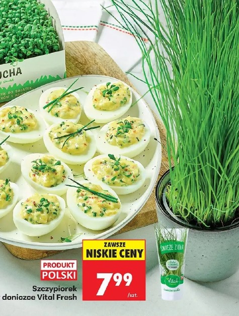 Szczypiorek w doniczce Vital Fresh