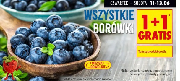 Wszystkie borówki