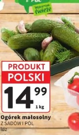 Ogórek małosolny Z Sadów i Pól