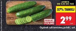 Ogórek szklarniowy polski