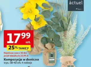 Kompozycja w doniczce