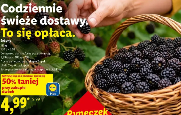 Jeżyny