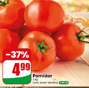 Pomidor