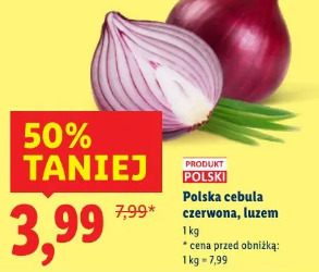 Polska cebula czerwona