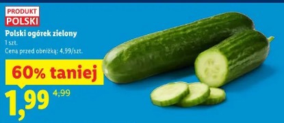 Polski ogórek zielony