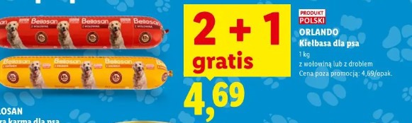 Orlando kiełbasa dla psa
