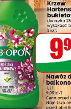 Nawóz do roślin balkonowych Biopon