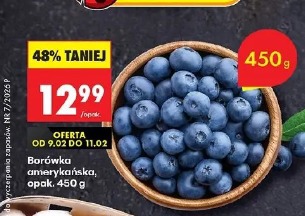 Borówka amerykańska