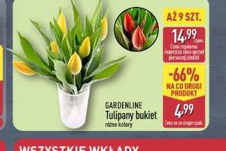 Gardenline Tulipany bukiet