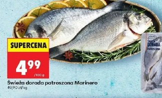 Świeża dorada patroszona Marinero