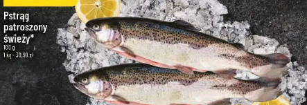 Pstrąg patroszony świeży